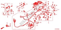 FAISCEAU DES FILS   BOBINE D'ALLUMAGE pour Honda 50 GYRO X POST OFFICE de 2012