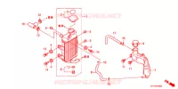 RADIATEUR pour Honda 50 GYRO X POST OFFICE de 2017
