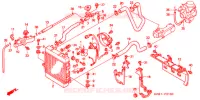 RADIATEUR pour Honda FORZA 250 ABS de 2001