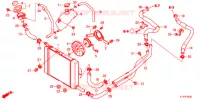 RADIATEUR pour Honda FORZA 250 Z SI de 2017
