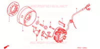 ALTERNATEUR pour Honda SHADOW TA 200 PHANTOM de 2003
