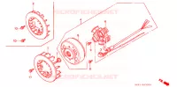 ALTERNATEUR pour Honda PAL 50 M de 1987