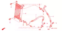 RADIATEUR D'HUILE pour Honda FOURTRAX 680 RINCON CAMO de 2009
