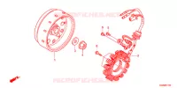 ALTERNATEUR pour Honda SUPER CUB 50 PRO -J- de 2017