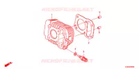 CYLINDRE pour Honda SUPER CUB 50 PRO -J- de 2017