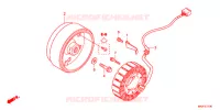 ALTERNATEUR pour Honda NC 750 S Dual Clutch Transmission ABS de 2016
