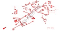 FAISCEAU DES FILS pour Honda EX5 DREAM 100, Electric start de 2012