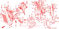 RADIATEUR pour Honda VLX SHADOW 600 2 TONE de 1999