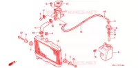 RADIATEUR pour Honda NSR 50 de 1993