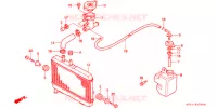 RADIATEUR pour Honda NSR 80 de 1994