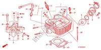 CULASSE (CORPS DE PAPILLON) pour Honda CBF 125 M STUNNER Front brake disk de 2009