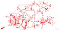 FLEXIBLE DE RADIATEUR pour Honda AFRICA TWIN 1000 ABS de 2016