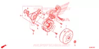 ALTERNATEUR (CRF100F) pour Honda CRF 100 de 2013