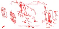 RADIATEUR pour Honda CRF 250 R BLACK de 2008