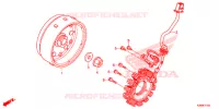 STATOR   ROTOR pour Honda GROM 125 de 2015
