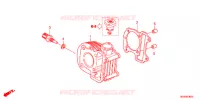 CYLINDRE pour Honda BENLY 50 PRO de 2014
