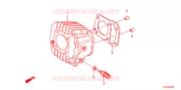 CYLINDRE pour Honda SUPER CUB 110 PRO de 2015