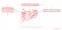 AUTOCOLLANTS pour Honda RUCKUS 50 de 2004
