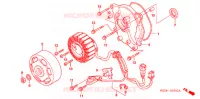 ROTOR   STATOR pour Honda RUCKUS 50 WHITE de 2006