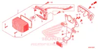 FEU ARRIERE pour Honda RUCKUS 50 de 2013