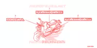 AUTOCOLLANTS pour Honda RUCKUS 50 de 2015