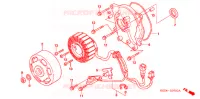 ROTOR   STATOR pour Honda RUCKUS 50 S CAMO de 2004
