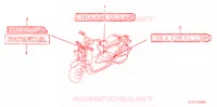 AUTOCOLLANTS pour Honda RUCKUS 50 S CAMO de 2004