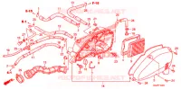 FILTRE A AIR pour Honda RUCKUS 50 SILVER de 2008