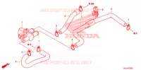 SYSTÈME DE RECYCLAGE DES GAZ pour Honda 700 DN01 de 2009