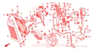 RADIATEUR pour Honda STEED 400 J de 2001