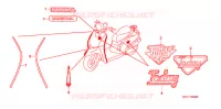 AUTOCOLLANTS pour Honda TODAY 50 de 2007