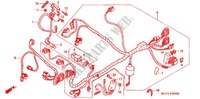 FAISCEAU DES FILS (AVANT) pour Honda RVT 1000 R RC51 de 2001