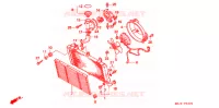 RADIATEUR pour Honda ST 1100 ABS TCS de 1995