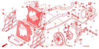 RADIATEUR pour Honda FOURTRAX 420 RANCHER 4X4 Manual Shift de 2010