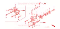 POMPE A EAU pour Honda TRX 450 R SPORTRAX Electric Start de 2007