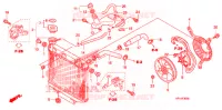 RADIATEUR pour Honda TRX 450 R SPORTRAX Electric Start WHITE de 2013