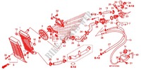 RADIATEUR pour Honda VT 1300 INTERSTATE de 2011