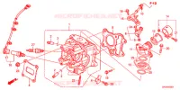 CULASSE pour Honda MONKEY 50 de 2016