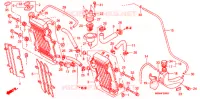 RADIATEUR   THERMOSTAT pour Honda XR 650 R de 2001