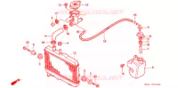 RADIATEUR pour Honda NSR 50 de 1987