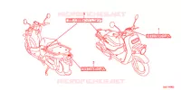 AUTOCOLLANTS pour Honda BENLY 50 de 2019