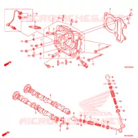 CULASSE pour Honda BENLY 110 POST OFFICE de 2020