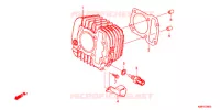 CYLINDRE pour Honda CROSS CUB 110 de 2019
