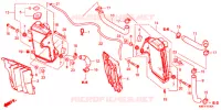 RADIATEUR pour Honda CRF 250 RX de 2019
