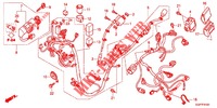 FAISCEAU DES FILS (NSC50/MPD/WH) pour Honda VISION 50 de 2012