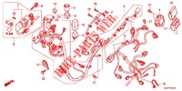 FAISCEAU DES FILS (NSC50/MPD/WH) pour Honda VISION 50 de 2012