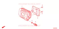 CYLINDRE pour Honda SUPER CUB 50 PRO -J- de 2012