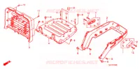 PORTE BAGAGES pour Honda 50 GYRO CANOPY de 2009
