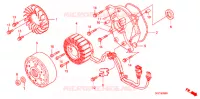 ROTOR   STATOR pour Honda 50 GYRO CANOPY de 2009