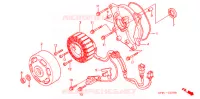 ROTOR   STATOR pour Honda BITE 50 de 2002